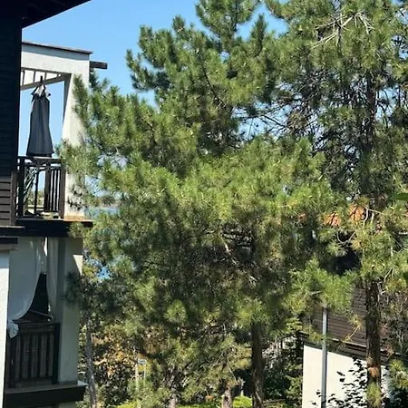 Niko's Sozopol