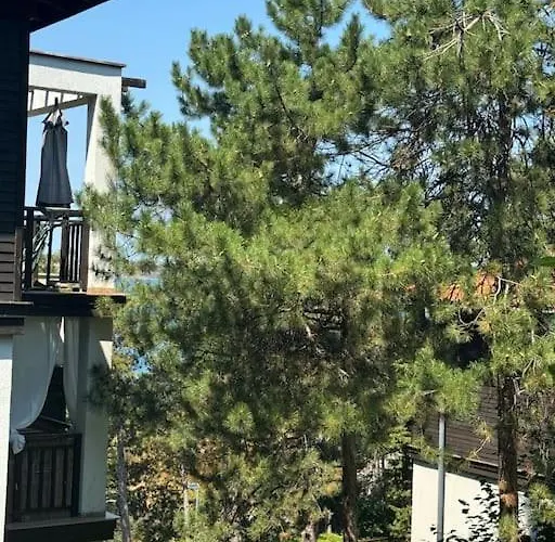 Niko's Созопол