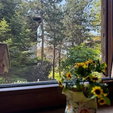 Apartament Niko's Sozopol