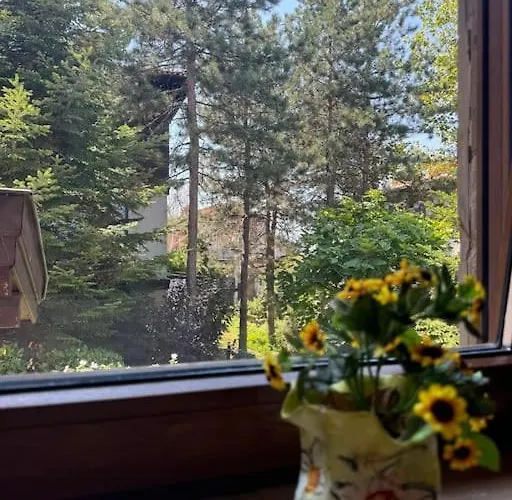 Apartament Niko's Sozopol